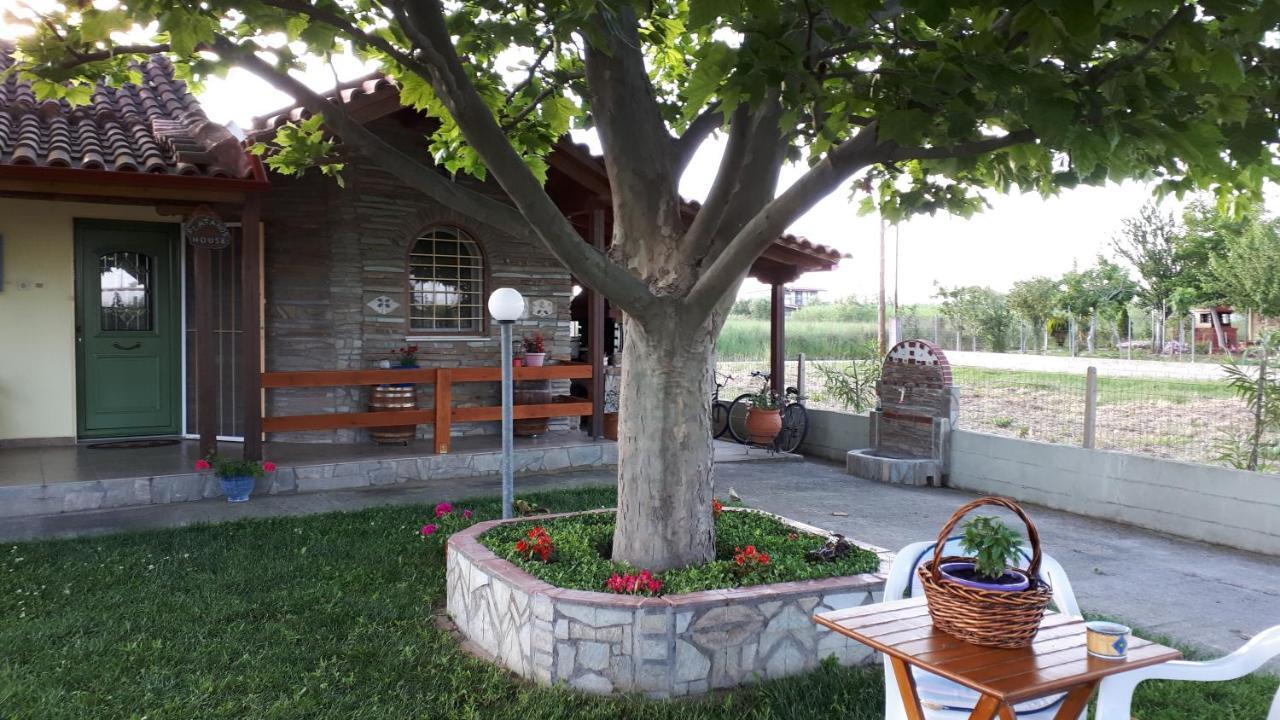 Villa Platanos House Néa Meságkala Exterior foto